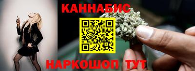крисы Можга