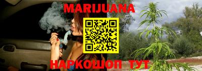 сатива Малгобек