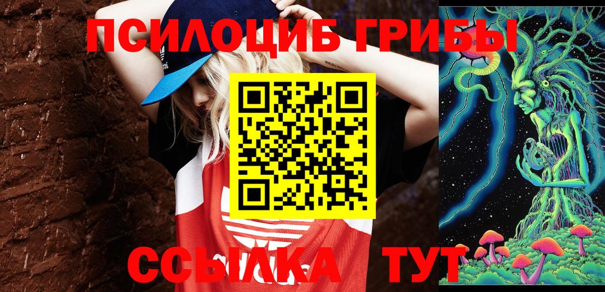 Тайшет  Галлюциногенные грибы мицелий  Вход с VPN  Галлюциногенные грибы MAGIC MUSHROOMS 