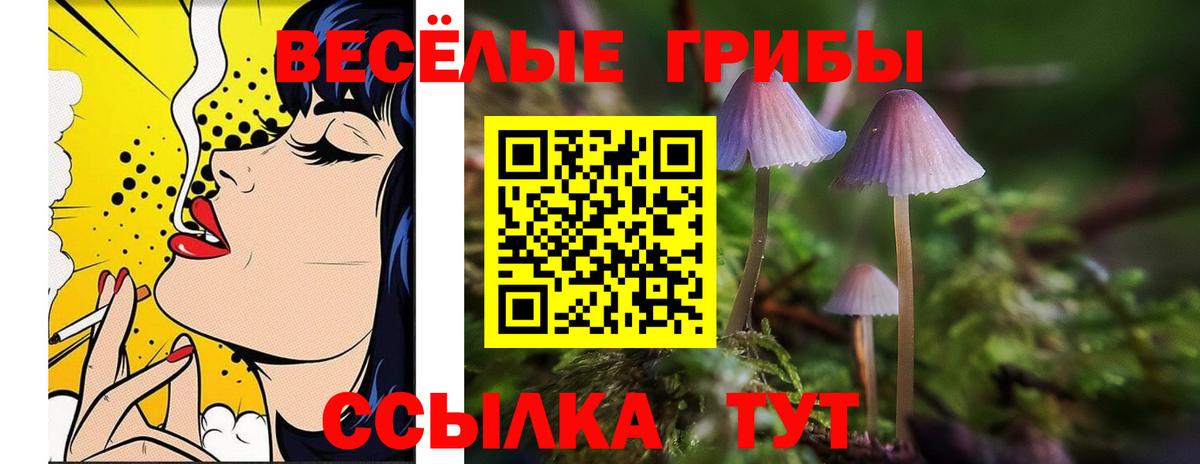Галлюциногенные грибы Psilocybine cubensis Тайшет